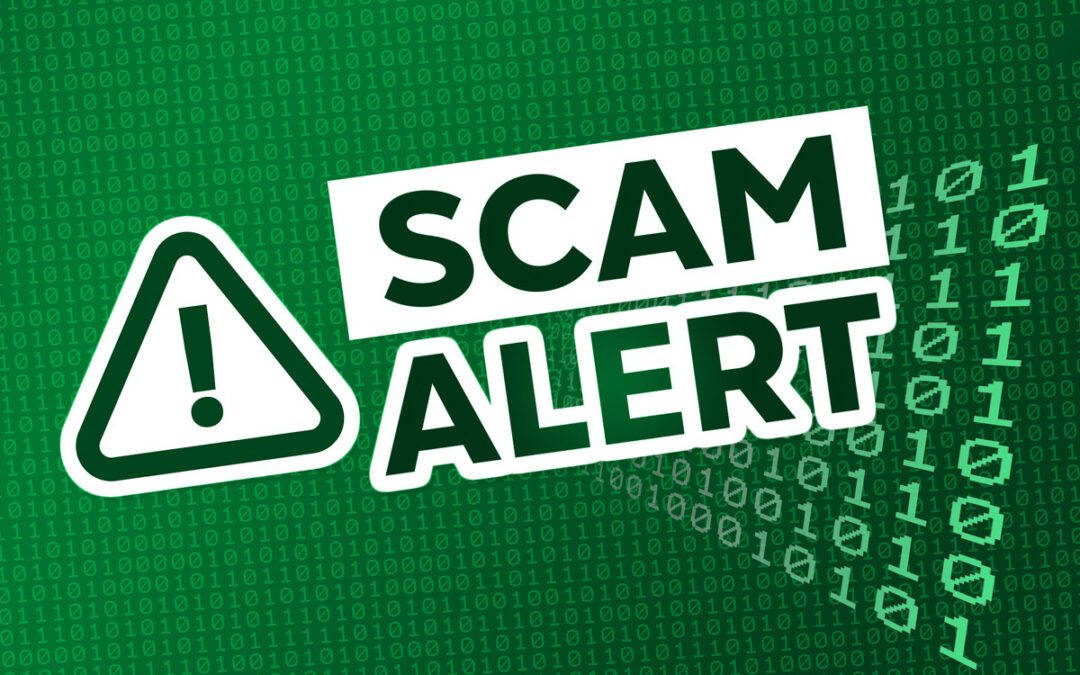 Spot and avoid removal company scams