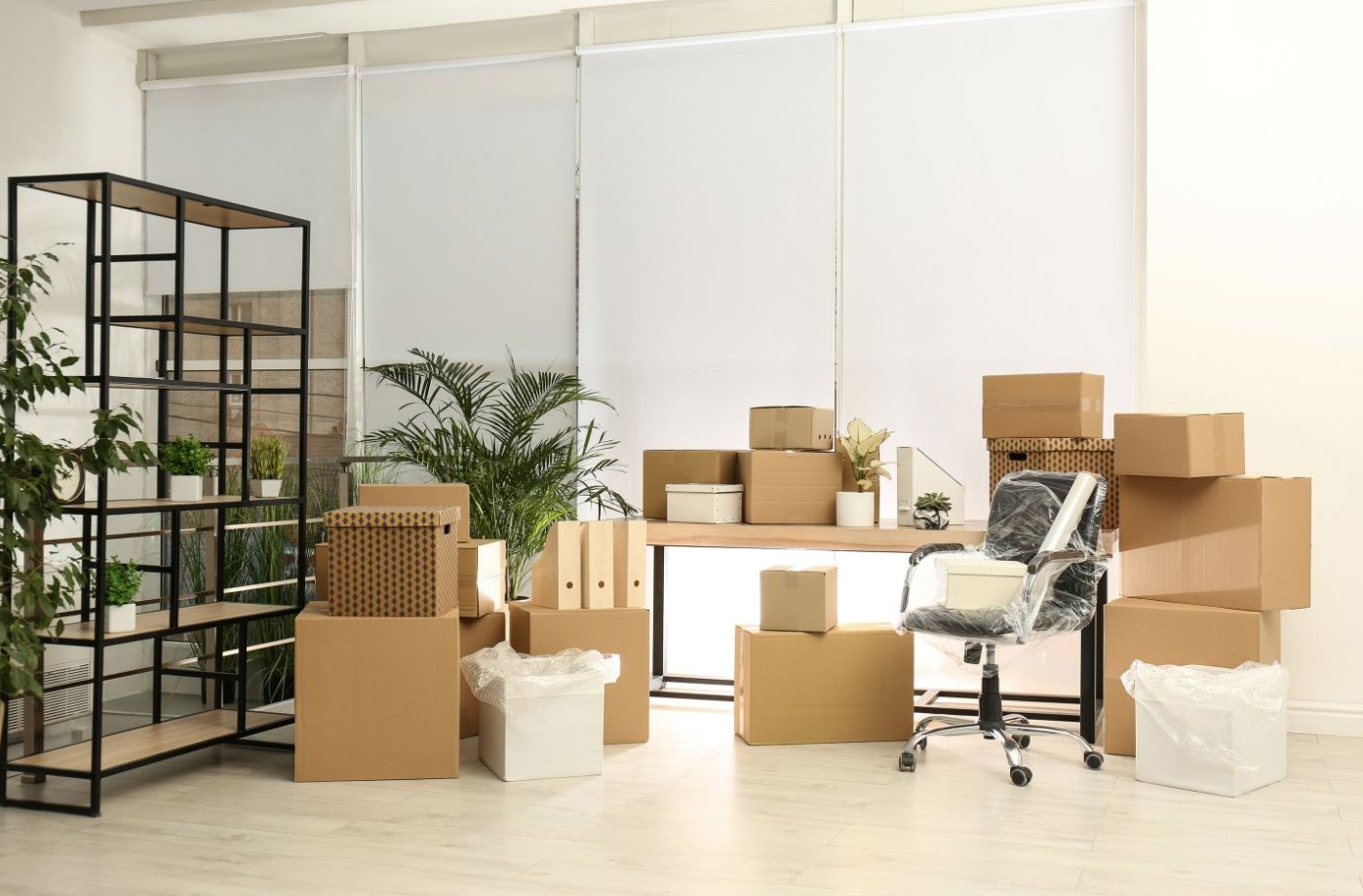 Office removals