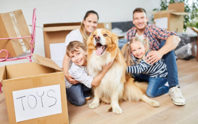Tips for Moving Home