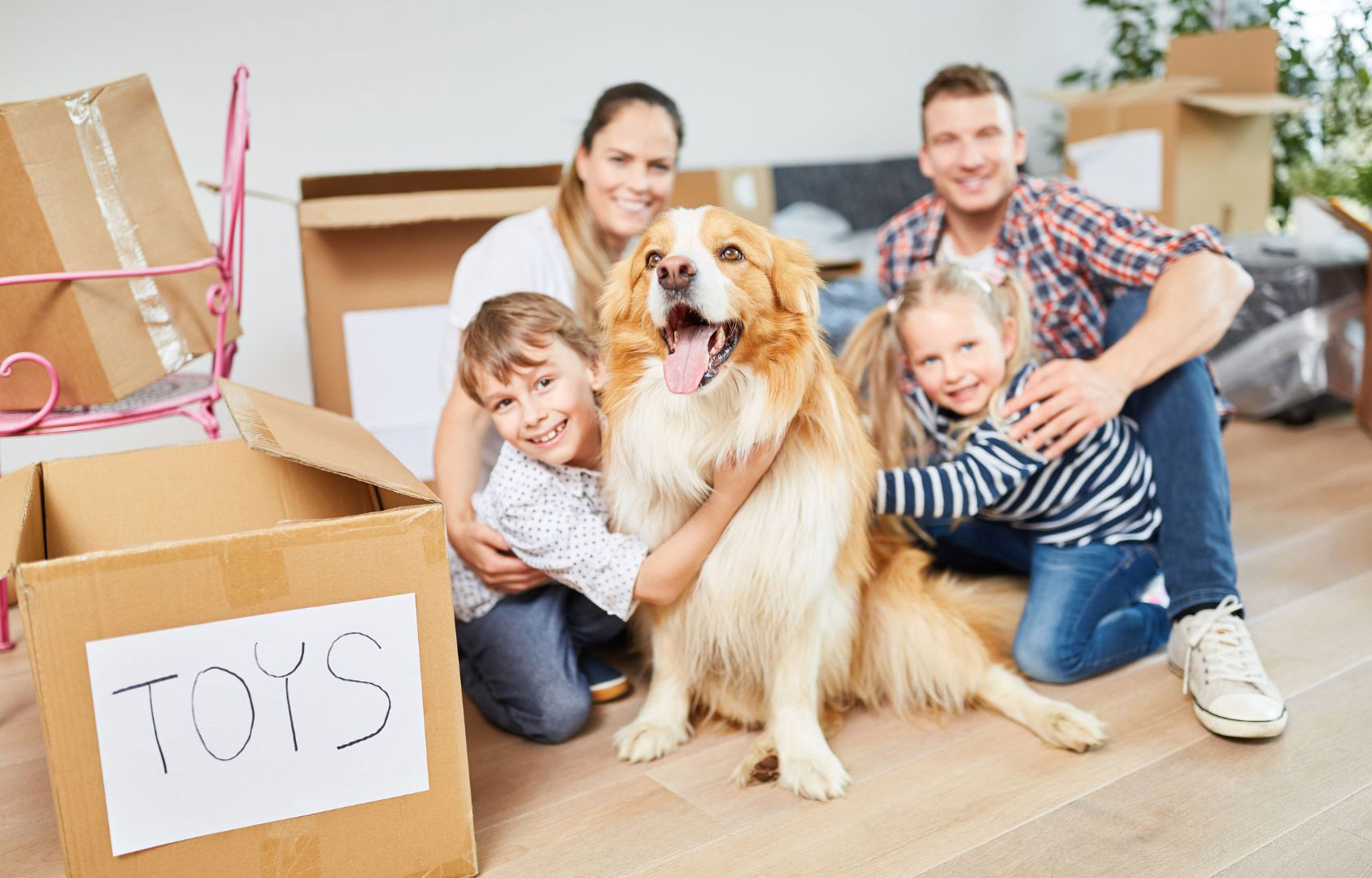 moving tips pets
